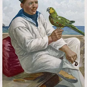 Sailor and Parrot