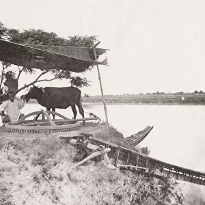 Sakkieh or ox driven water wheel used for irratagtion, Egypt
