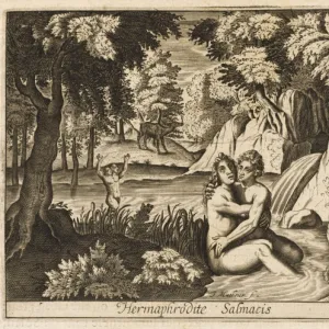 Salmacis & Hermaphrodite