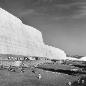 Saltdean Chalk Cliffs