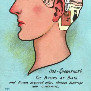 Satire on Phrenology