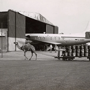 Scene with camel and plane at Khartoum Airport, Sudan