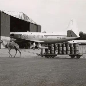 Scene with camel and plane at Khartoum Airport, Sudan