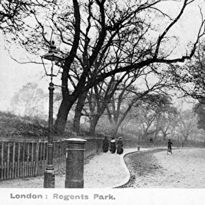Scene on the edge of Regents Park, London