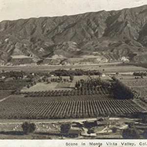 Scene in Monte Vista Valley, California, USA