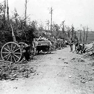 Scene near Mametz Wood, Western Front, WW1