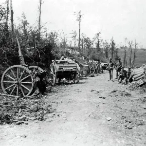 Scene near Mametz Wood, Western Front, WW1