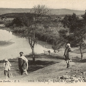 Scenery by the Chelif River, Algeria, North Africa