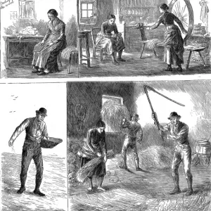 Scenes of peasant working life, Ireland