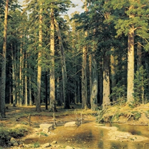 Schischkin, Ivan Ivanovich (1832-1898). Mast-Tree