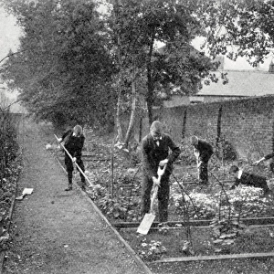 School for Deaf Boys, Anerley, London - gardening