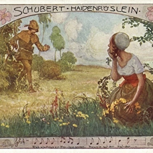 Schubert / Heidenroslein