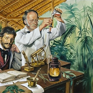Scientific experiments in the jungle in the early
