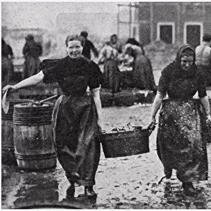 Scotch Herring Women Workers 1902
