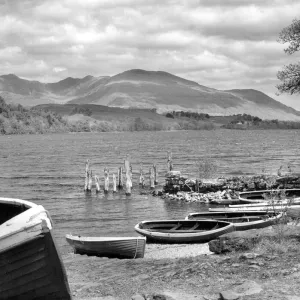 Scotland / Loch Awe