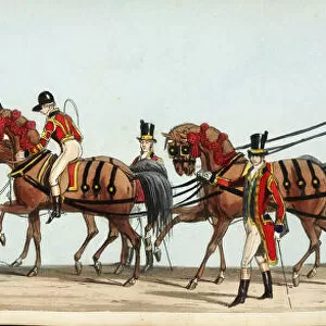 Second Carriage of the Royal Household - Queen Victoria s