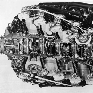 A sectioned Pratt & Whitney R-4360 Wasp Major radial