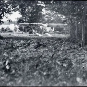 Print of a DH.80A Puss Moth tied to a tree in the 1920s Print of a DH.80A Puss Moth tied to a tree in the 1920s