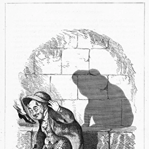 Shadow drawing. C. H. Bennett, Toady