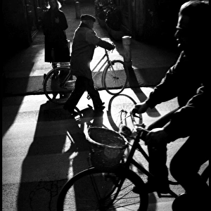 Shadows and cyclists, Pisa, Italy