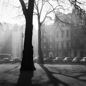 Shadows in a London square