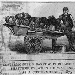 Shaftesburys Barrow