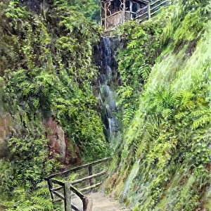 Shanklin Chine, Isle of Wight