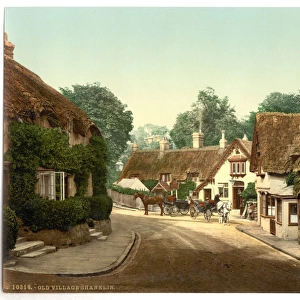 Shanklin, old village, Isle of Wight, England