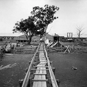Shearing shed, Burrawang Station, Australia
