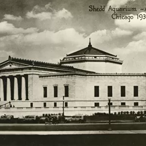 Shedd Aquarium - Chicago 1933 Worlds Fair