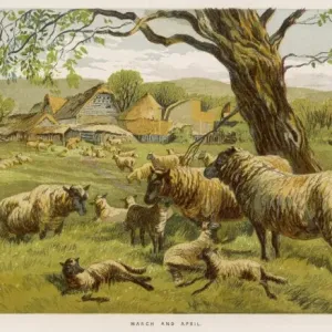 Sheep in Meadow 1862 Sheep in Meadow 1862