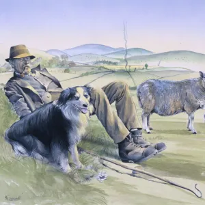 A shepherd resting