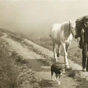 Shepherd with sheep, horse and dog