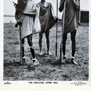 Three Shilluk Warriors of the Upper Nile, Sudan