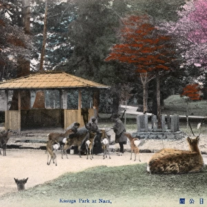 Shinto Kasuga Shrine at Nara, Japan - The Deer Park