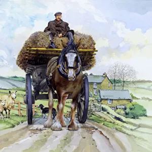 Shire horse pulling a hay wagon