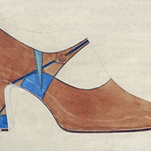 Shoe design in brown and blue
