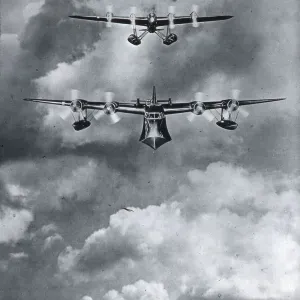 Short-Mayo composite Short-Mayo composite
