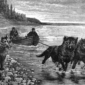 Siberian postman, boat hauled by dogs