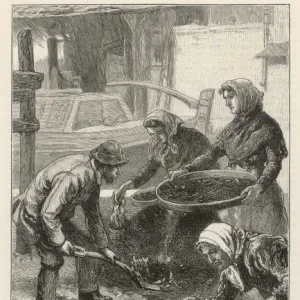 Sifting Dust, Paddington