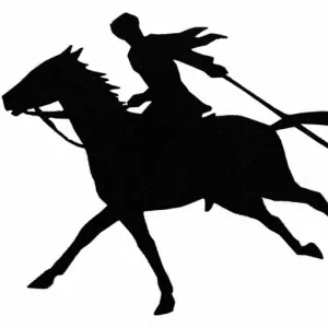 Silhouette of polo player on horseback