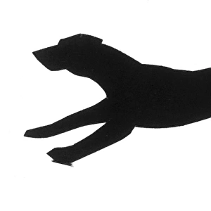 Silhouette of a running dog
