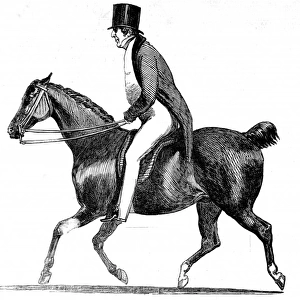 Sir Robert Peel on horseback, c. 1850