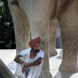 Sitting on a statue of an elephant, Jaipur, Rajasthan, India