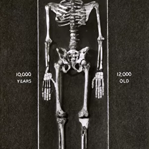 Skeleton of early man found at Goughs Cave, Cheddar Gorge