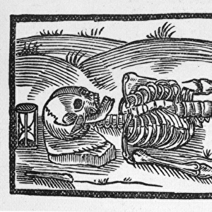 Skeleton and Skull