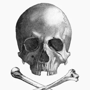 Skull and Crossbones