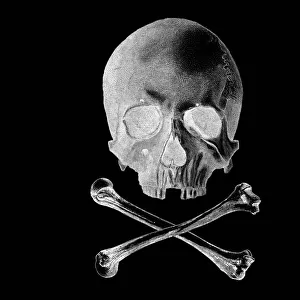 Skull and Crossbones - Inverted