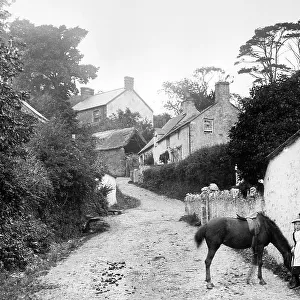 Slade near Ilfracombe early 1900s