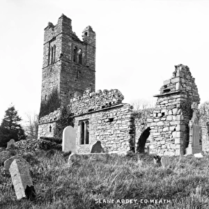 Slane Abbey, Co Meath